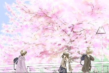 深入了解 星空无限传媒官网首页